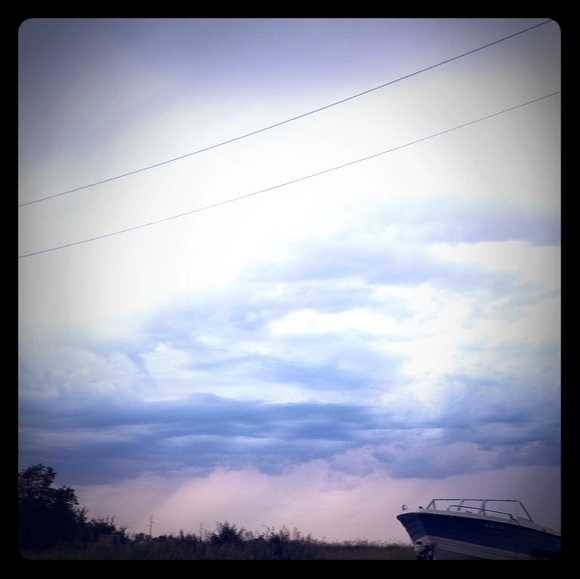 Meet your Posher, Taylor - Picture 1 of 1